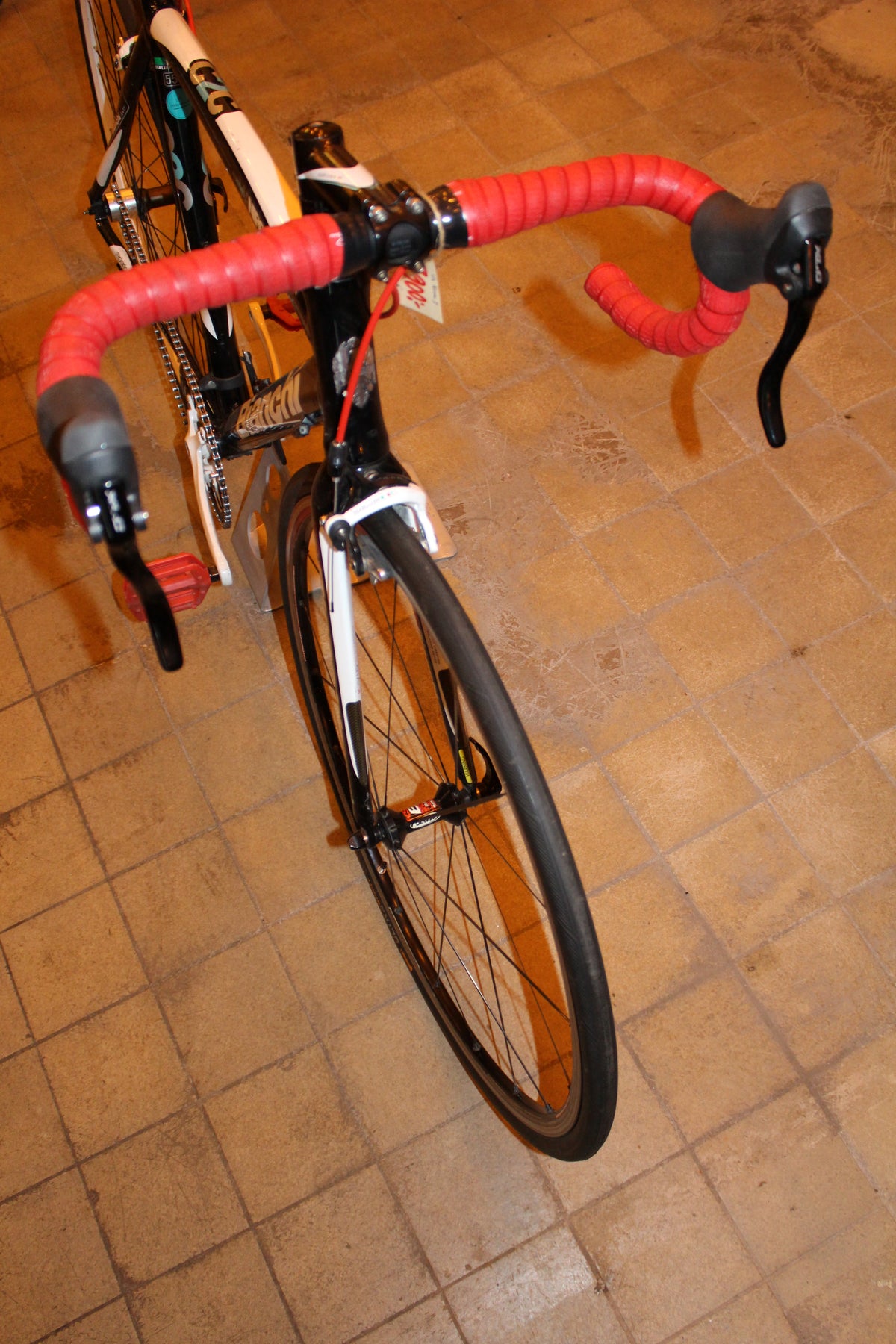 Italiensk hingst