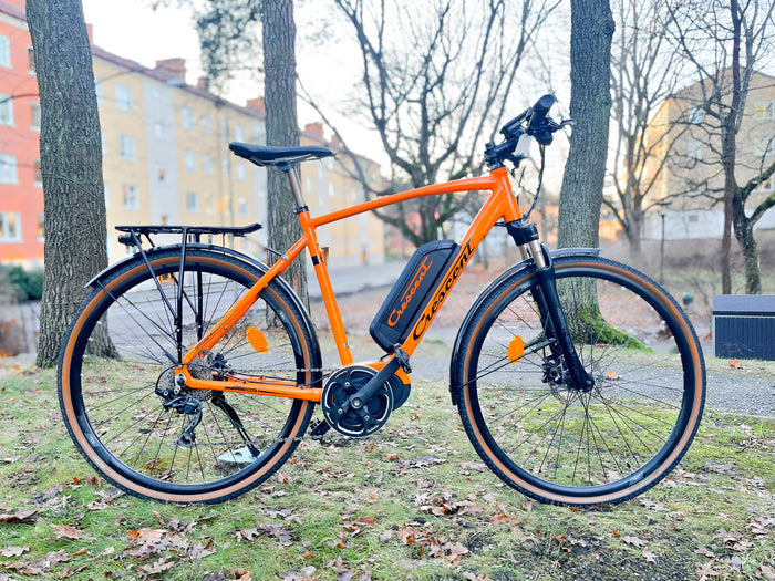 Crescent Elder El-Cykel