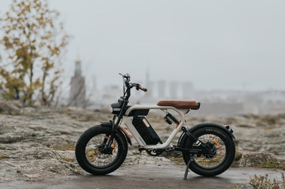Kuiperbæltet S1