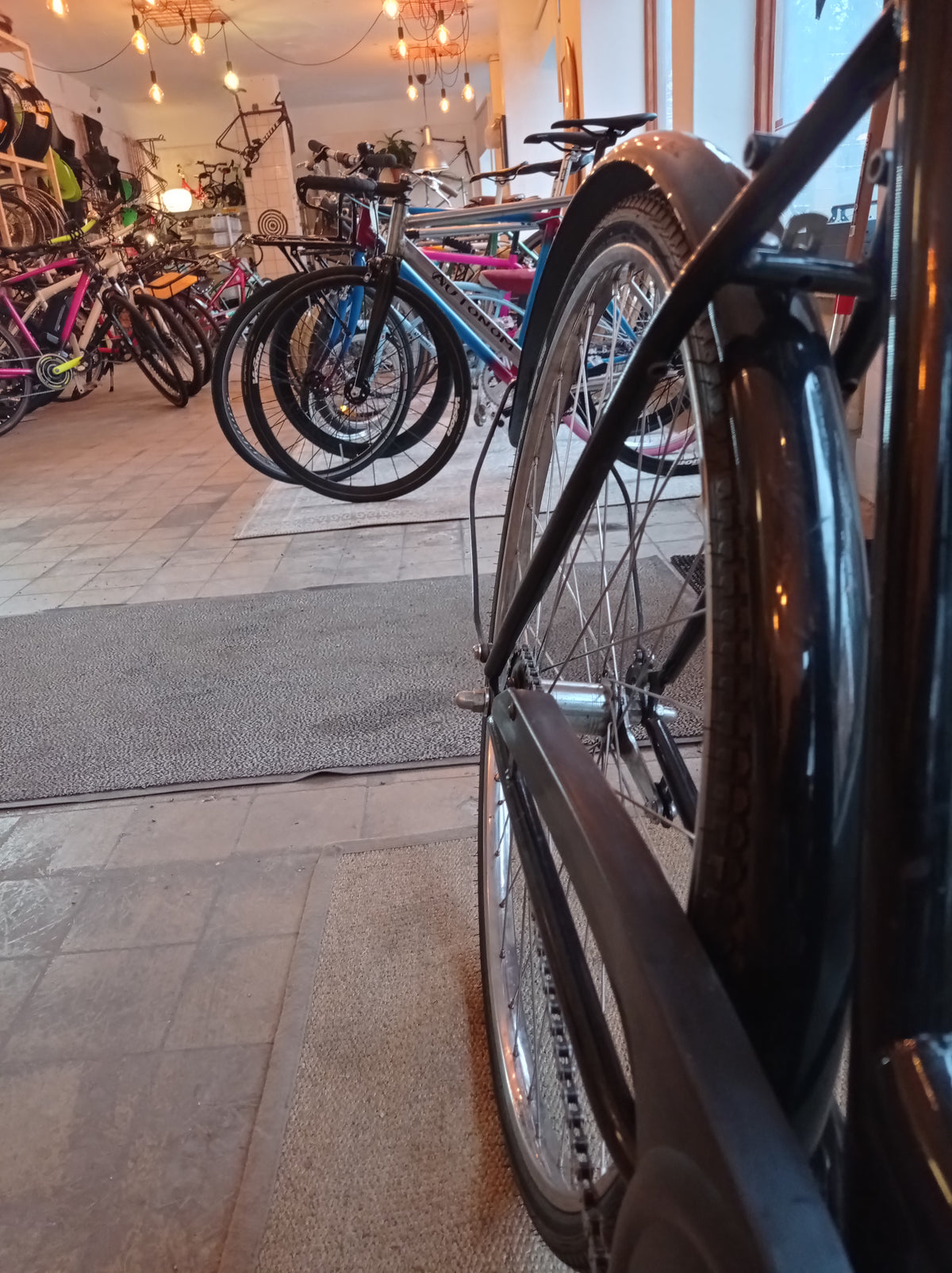 Sort kaffe dame cruiser