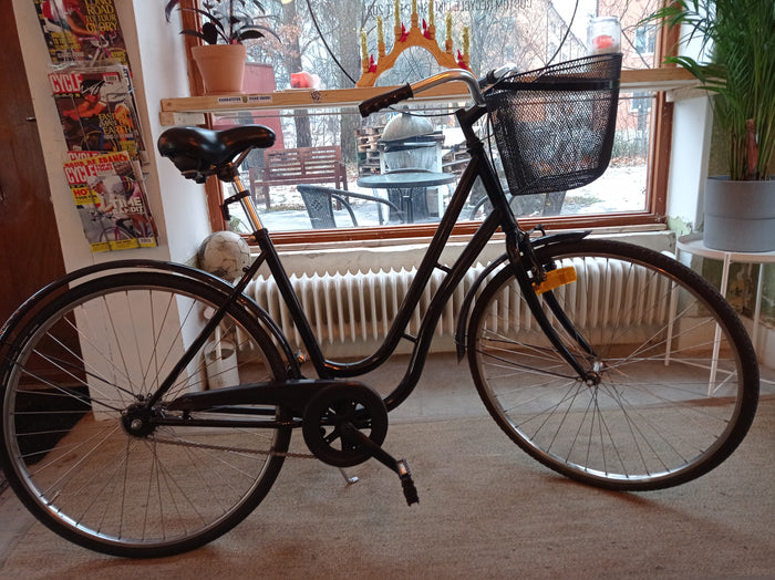 Black Coffe Dam cruiser