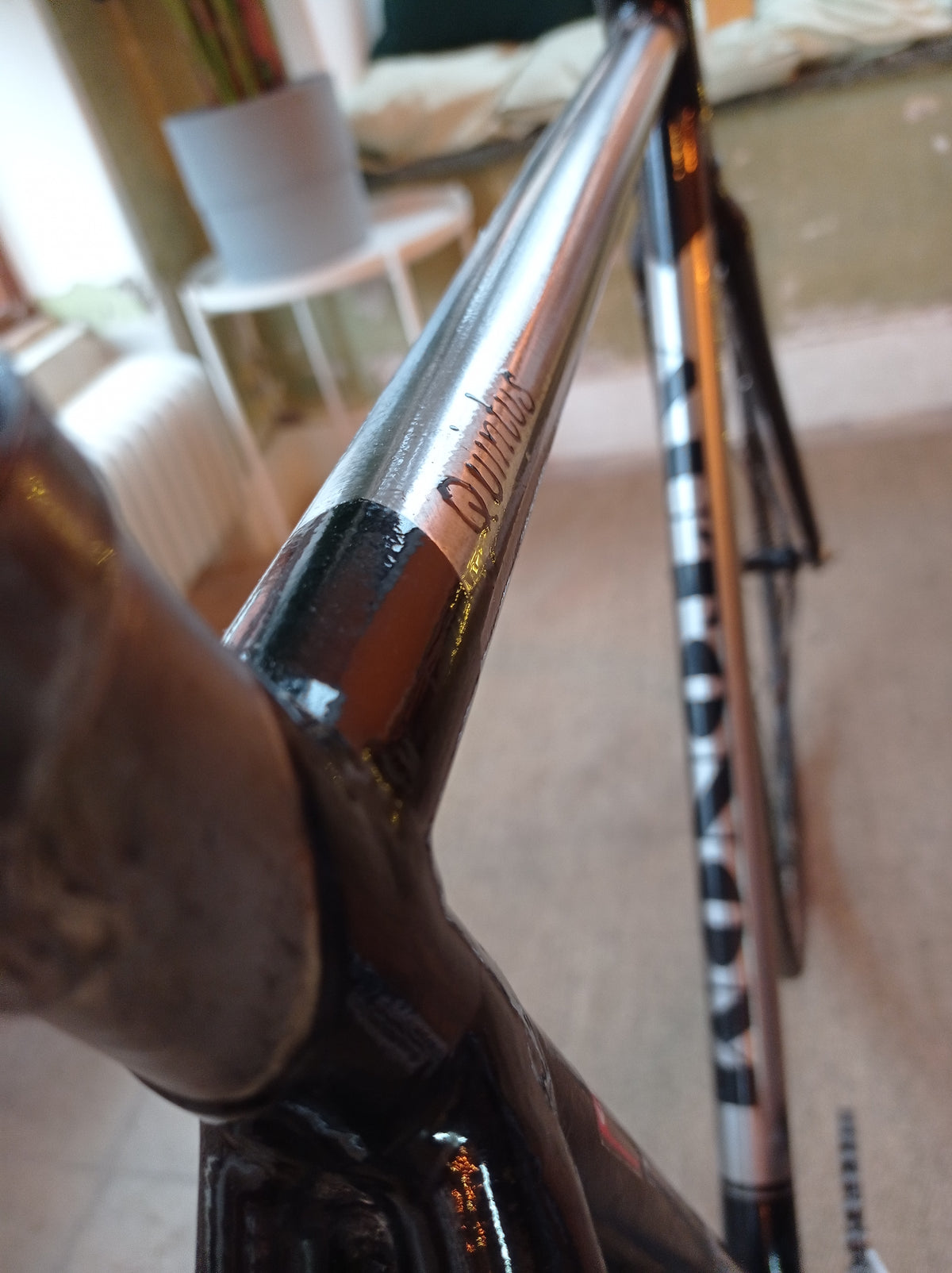 Autonome Quintus Singlespeed