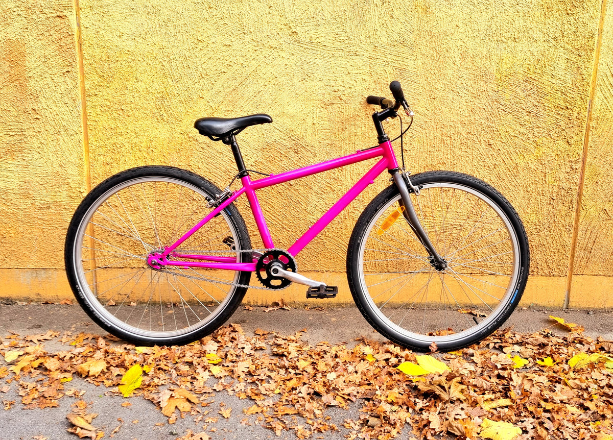 SS Fuchsia MTB Cruiser